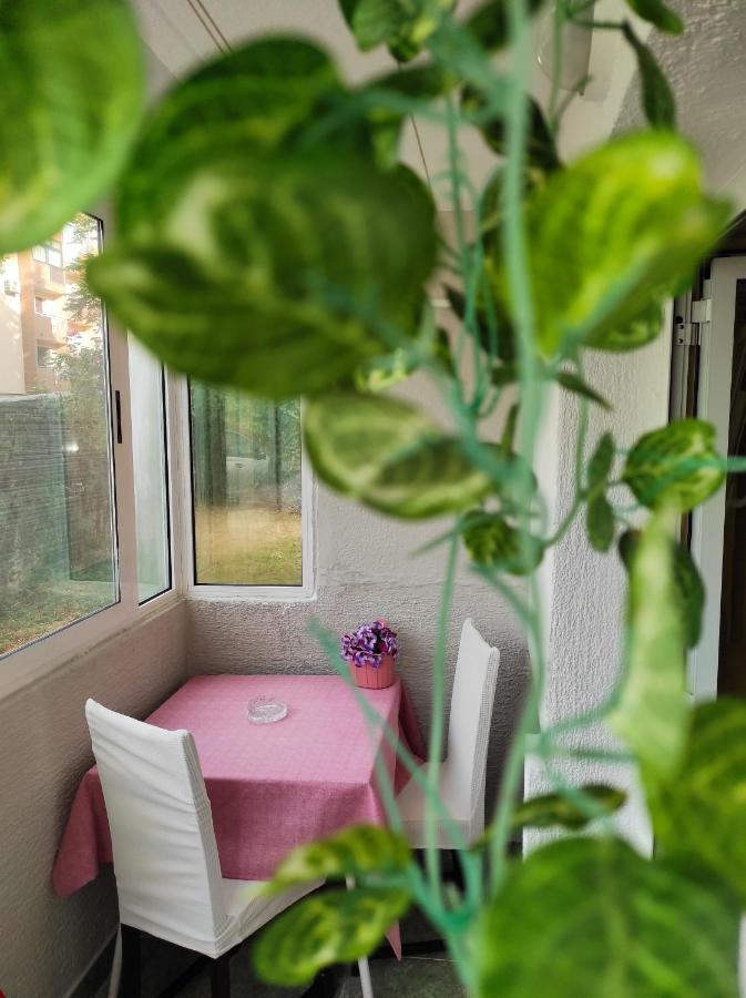 Apartment Sanja Pazin Eksteriør bilde