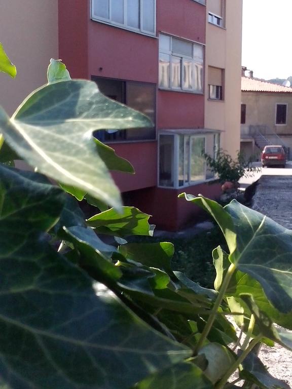 Apartment Sanja Pazin Rom bilde